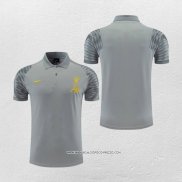 Maglia Polo Liverpool 22-23 Grigio